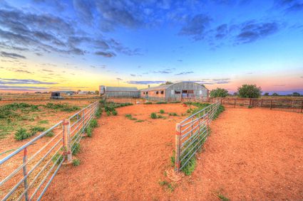 Bucklow Station - Woolshed - NSW SQ (PB5D 00 2679)